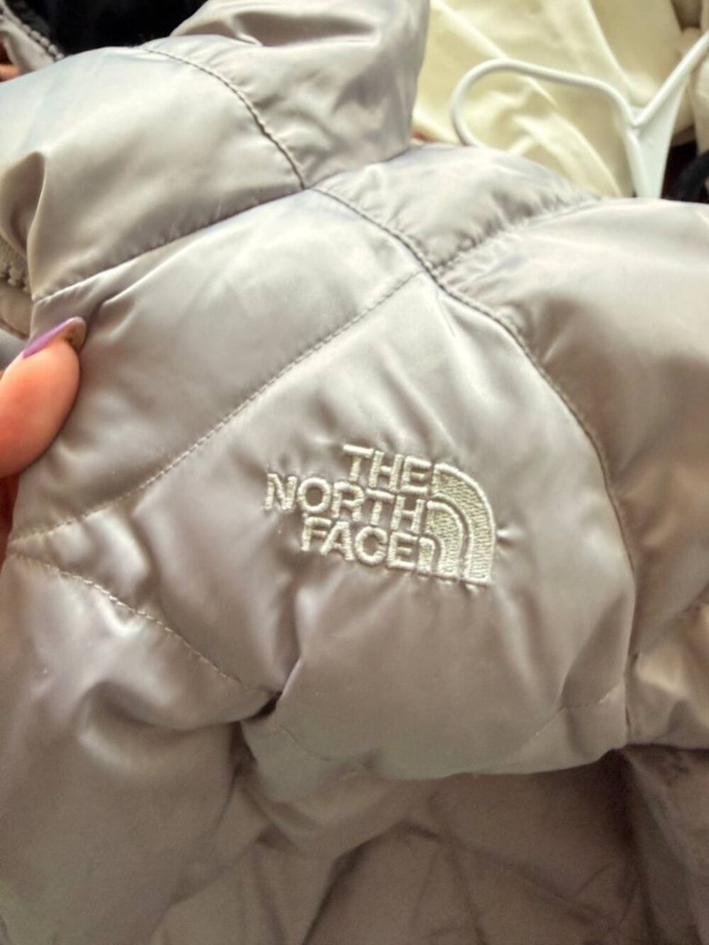 The North Face Metallic Silver 550-Down Filled Puffer Jacket - Picture 4 of 4